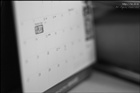 dailyPhoto10